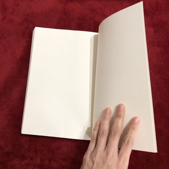 The Norton Anthology of World Literature, Vol. C 3rd Edition - Picture 9 of 12